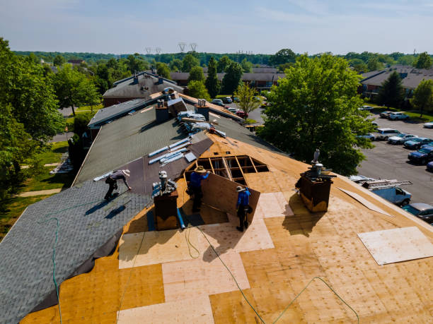 Best Commercial Roofing Services  in Wayland, MI