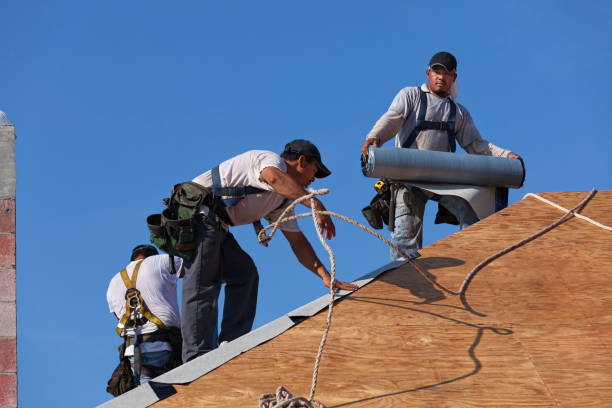 Best Best Roofing Contractors  in Wayland, MI
