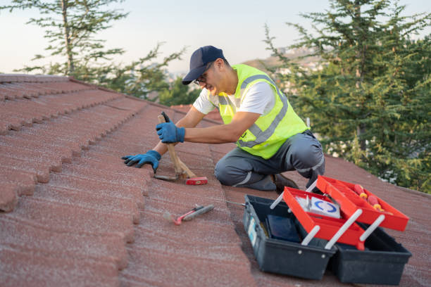 Roof Gutter Cleaning in Wayland, MI