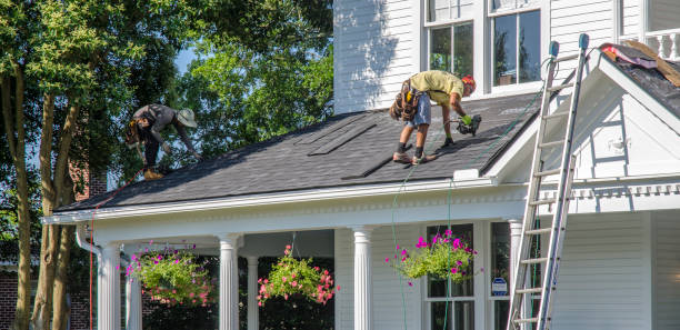 Best Storm Damage Roof Repair  in Wayland, MI
