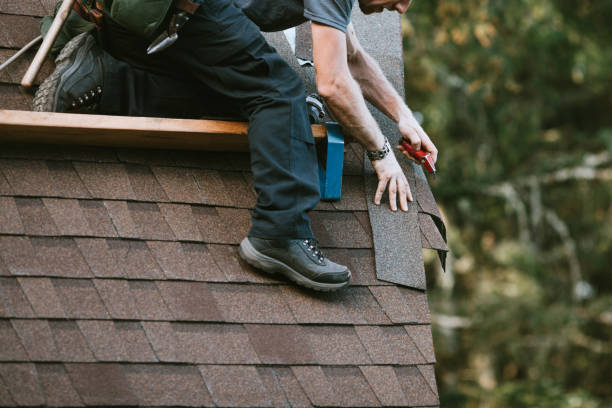 Best Roof Maintenance Services  in Wayland, MI