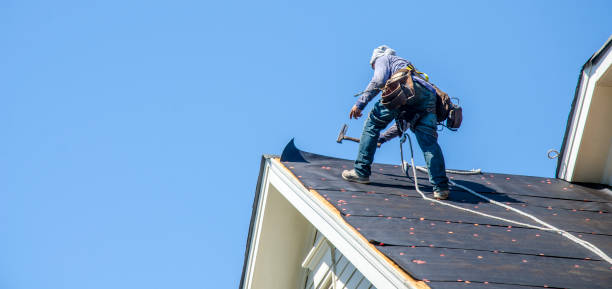 Best Roofing Contractor Near Me  in Wayland, MI